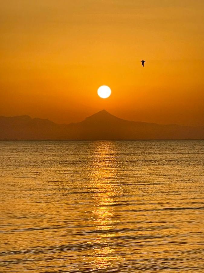 Apartament La Urbanizacion Cerca Del Mar Denia Zewnętrze zdjęcie